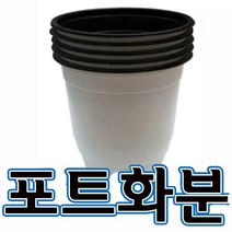 순희농장 비닐검정포트 포트화분 모종포트, 흰포트(600개)