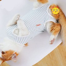 이파인스토리 중성화 수술복 올인원애견의류 중성화의류 W784A7C 강아지 중성화복 스프라이트 환견옷 넥카라대용 그루밍방지 환묘옷 고양이 중성화옷 치아 관리, 폴S마트L