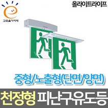 올라이트라이프 LED중형 노출 천정형 피난구 유도등 고효율, 양면 피난구 기본방향