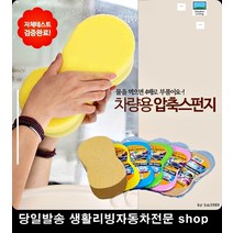 트위지세차스펀지 카니발하이리무진세차스펀지 GV70세차스펀지 SM7세차스펀지 세차압축스펀지 압축세척스펀지
