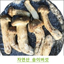진심좋은 자연산 냉동 송이 버섯 자연 송이버섯 1kg, 1box, 3등급 1kg