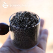 2022년 국산 통 들깨 가루 분말 500g 볶은 들깨가루