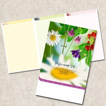 주보용지 3단 주보 교회 예배 주보인쇄 기성 디자인 칼라 청년부 주보 제작 기독교용품, EW-36