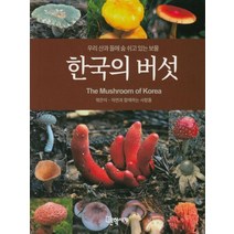 한국의 버섯:우리 산과 들에 숨 쉬고 있는 보물, 문학사계