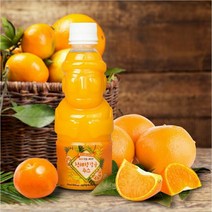 명진라이프 제주향 감귤 천혜향주스 330ml 10개입