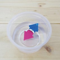 물에 뜨는 나침반 만들기(10인세트) JUN-교구0328