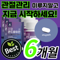 관절엔 프리미엄 대용량 리얼 콘드로이친 코드로이친 콘드래친 콘드로이틴 콘도로이친 관절 연골 무릎 무릅 어깨 손목 발목 손가락 허리 노인 부모님 40대 50대 60대 보조제 선물, 6통 / 6개월