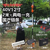 무선 높은 가지 치기 전기톱 고지 고지대 충전식 수목, 40V 12인치 2m 배터리 2개