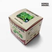 강낭콩 키우기세트 베란다 텃밭 홈가드닝 식물 기르기