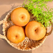나주배 햇배 스테비아급 나주 특산물 신고배 원황배 쥬스용, 상세페이지 참조4