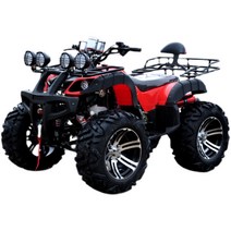 ATV 4륜 오프로드 사발이 오토바이 ATV 4륜 구동 드라이브 산악용 농업용, 빅불 패키지 에이트 250cc 스탠다드 에디션