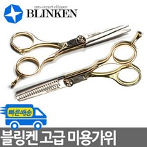 건강-드림_블링켄 미용 컷팅 틴닝 가위 택1 애견 강아지이발 털깎이 고양이 강아지숱 애묘 고이_rjsrkdemf, 옵-션★틴닝가위