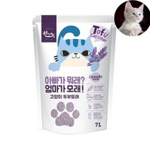 천연재료 응고형모래 봄 냄새먹는 가성비 추천 고양이