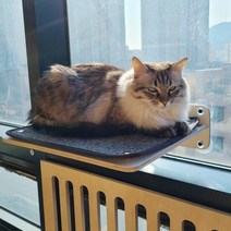 1300K 브리스캣 윈도우캣 창문 캣타워 스텝타입 CWS01, 단품