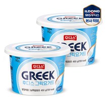 후디스 그릭요거트 플레인 450g, 2개