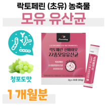 신 바이오틱스 락토페린 가세리 루테리 락토 바실러스 모유 유산균 프로 바이오틱스 프락토 올리고당 10억 마리 하루 1포 청포도 맛 김치 유산균 홈쇼핑 프리미엄 영양제 가격 비교, 1개월, 2000mg x 30포 (하루 1포)