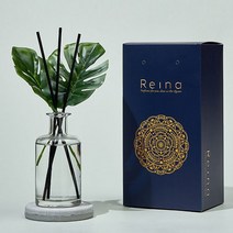 레이나퍼퓸 프리미엄 몬스테라 플라워디퓨저 150ml 2개, 투명병:유칼립투스
