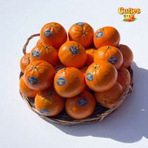 큐티스만다린 오렌지귤 미국산, 4kg (32~48과), 1개