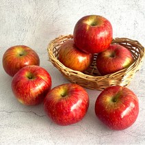 경북 부사 사과 가정용 10kg, 부사 사과 가정용 10kg 48-51과