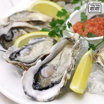 통영굴 하프셀 제철 생굴 횟감용 석화 반각굴 통영 직송, 통영하프셀 1단