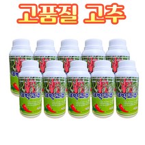 농사친구 대박고추 500ml 고추 전용 정식 전후 비료 영양제 아미노산, 10병