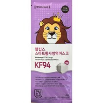 웰킵스 황사방역마스크 대형 KF94, 2개, 25개입