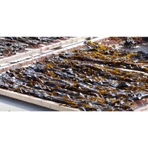 자연이 만든 명품 자연산 기장미역 단체 선물 쫄쫄이 산후조리원 회사 종교 산모 임산부, 기장미역 250g 단품
