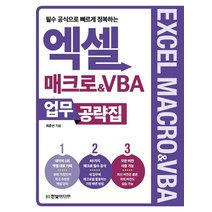 빠르게 정복하는 엑셀 매크로 VBA 업무 공략집/한빛미디어