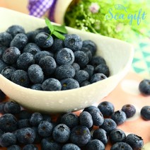 [씨기프트]냉동 블루베리 1kg 캐나다산 아이스 주스 스무디 요거트 디저트, 단품