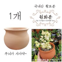 금란의정원 국산 원화분 23번 1개