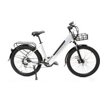 EASY RIDE 이지라이드 EN-24 전기자전거 주행거리 100KM, 블랙
