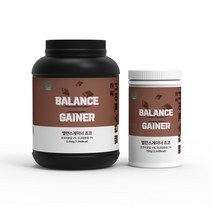밸런스게이너 초코맛 750g 2kg 체중증가 파우더, 1개