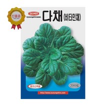 경신종묘 다채씨앗 비타민채 2000립