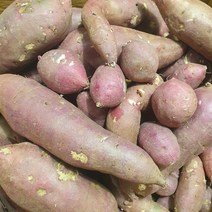 해남 고구마 못난이 10kg, 1개