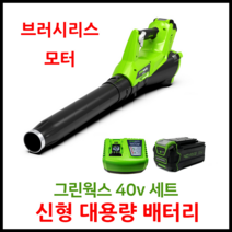그린웍스 40v 신형엑시얼 충전 블로워 낙엽청소기 충전식 브로워 전동 송풍기 제설기, 선택2 본체+고속충전기+5Ah배터리 1개