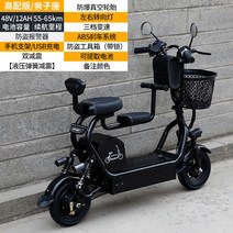 세발 노인 어르신 삼륜 3륜 스쿠터 전기 오토ㅊ바이 바이크 전동, 48V, 패밀리 12AH / 55-65km
