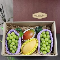송천하루 925일 오전10시 결제완료건까지 명절전배송산지직송명품 샤인 망고 프리미엄 혼합 과일선물세트 2.2kg내외 -인증