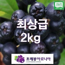 유기농 자연초생재배 초례봉아로니아냉동생과 최상급 2kg / 농장 직배송