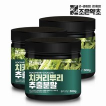 야채왕 치커리 2kg ( 실중량 1.8k ~ 2k)