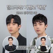 가발닷컴 ABC 전체가발 5종 탈모극복 쉬운착용 인조모 남자가발 남자, 1개, 5. 시스루 댄디펌 M 자연검정