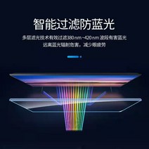 티비강화필름 TV화면보호기 액정보호 기스방지 파손방지 블루라이트차단필름 시력보호 덮개, 49인치