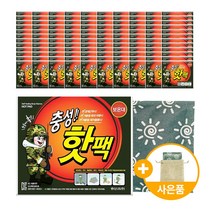 위니스트 충성핫팩 대용량 휴대용손난로 군인 국산 방한용품, 충성핫팩 (120개입) 사은품