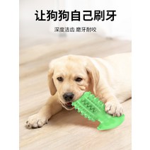 강아지 장난감 개 물린 방지 어금니 스틱 대형 강아지 골든 리트리버 칫솔 브러쉬 애완 동물 용품 공, 1. [녹색] 개 빨판 어금니