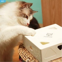 켈리홈데코 포포스 캣매직박스 로봇 자동 장난감 셀프 깃털사냥, 냥SET02(캣매직박스1대+리필깃털2박스)