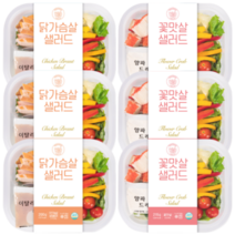 날씬한샐러드 6팩2종 (닭가슴살+꽃맛살) 식단 관리 샐러드 도시락 [닭가슴살 샐러드 간편식 시즌1]
