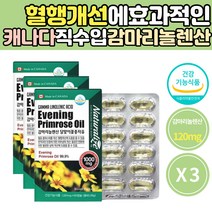 달맞이꽃종자유 달맞이유 식물성 감마리놀렌산 효능 생리전 증후군 생리 PMS 영양제 불포화지방산 오메가6 EPO 프로스타글란딘 GLA 콜레스테롤 개선 낮추는 음식 달맞이꽃 오일