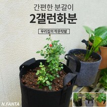 부직포 화분 식물 고구마 키우기 2갤런 20x20 블루베리 감자 고구마 모종 키우기 베란다 텃밭 흙 담기 화분, 1화분2갤런-블랙