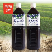 프레시데이 고창 베리월드 블루베리 원액 1L 2병, 1, 없음/없음/없음