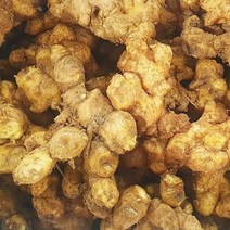요리조리 국내산 토종 햇 흙 생강 5kg