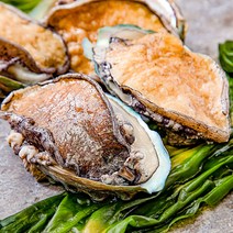 [더테이블] 산지직송 완도 활 전복 1kg 크기별 7미~50미, 완도 전복 1kg 7-8미